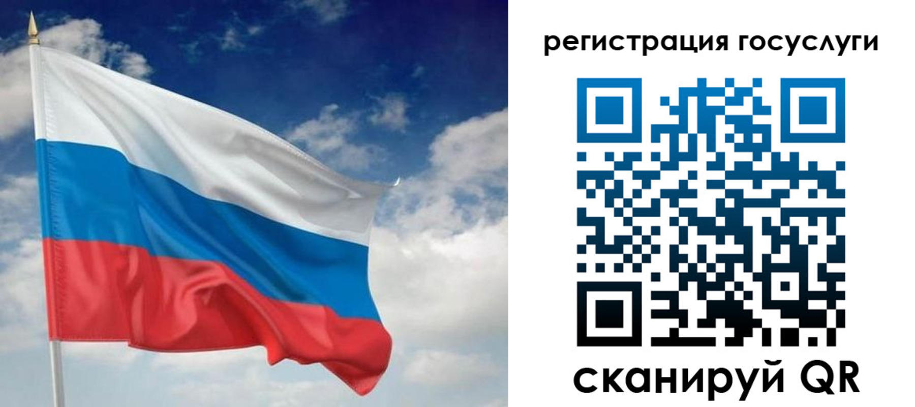 прописка гарантия в Курганинске